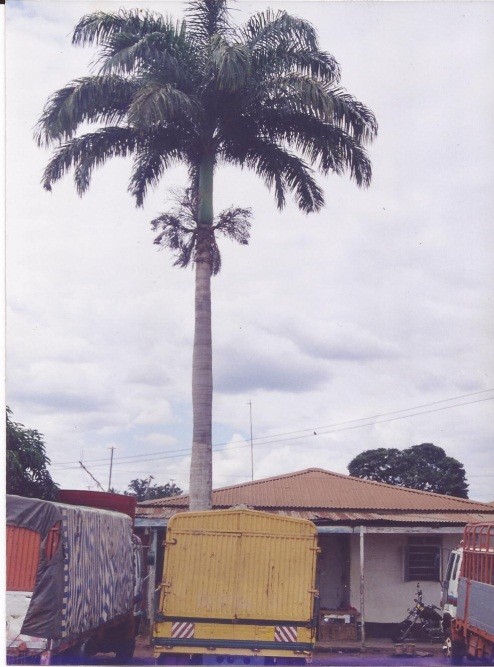 Nyumba Na. 18 | Morogoro