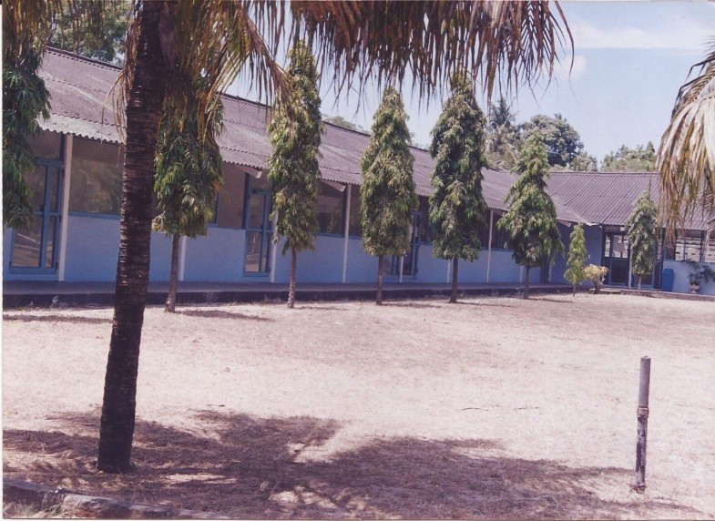 Chuo cha Diplomasia (Tanzania – Mozambique Centre for Foreign Relation) Kiwanja Na. 3878 | KURASINI